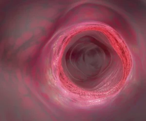 bionyra-pharma-emerges-from-stealth-with-165m-series-a-to-redefine-immunology