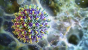breaking-the-henipavirus-barrier-a-breakthrough-antibody-cocktail-against-nipah-and-hendra-viruses