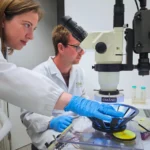 a-new-dawn-for-the-visually-impaired-how-light-activated-molecules-are-rewriting-the-future-of-sight-restoration