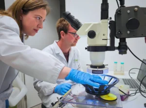 a-new-dawn-for-the-visually-impaired-how-light-activated-molecules-are-rewriting-the-future-of-sight-restoration