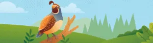 android-studio-quail-2-a-paradigm-shift-in-intelligent-mobile-development