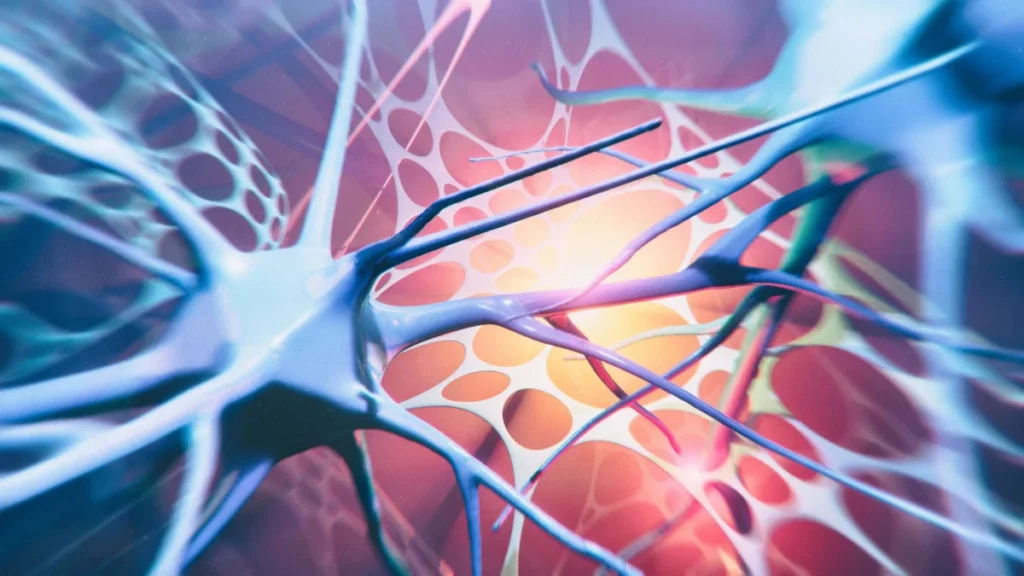 beyond-the-surface-genetic-breakthroughs-reveal-the-biological-roots-of-hyperhidrosis