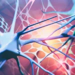beyond-the-surface-genetic-breakthroughs-reveal-the-biological-roots-of-hyperhidrosis