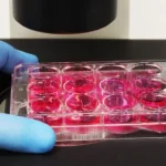 bridging-the-scaling-gap-autolomous-and-cellular-origins-unveil-end-to-end-cell-therapy-automation