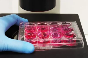 bridging-the-scaling-gap-autolomous-and-cellular-origins-unveil-end-to-end-cell-therapy-automation