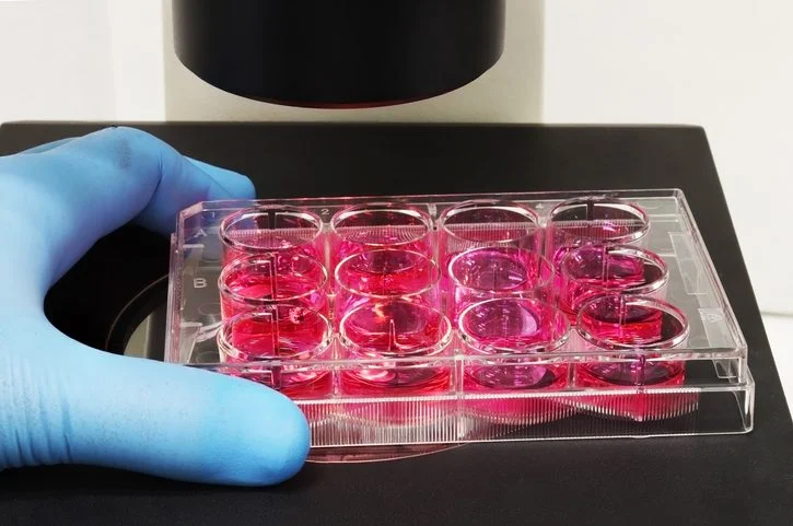 bridging-the-scaling-gap-autolomous-and-cellular-origins-unveil-end-to-end-cell-therapy-automation