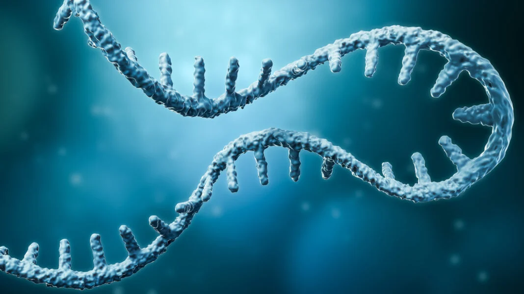 elixirgen-therapeutics-pioneering-telomere-biology-and-next-generation-mrna-therapeutics