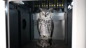 revolutionizing-multi-color-3d-printing-a-new-slicer-method-promises-efficiency-and-aesthetic-breakthroughs