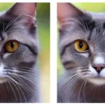 revolutionizing-on-device-ai-tensorflow-lite-and-xnnpack-unlock-massive-performance-gains