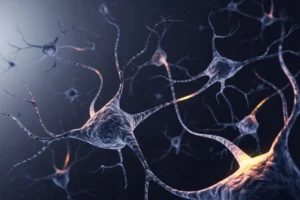 the-adolescent-brains-memory-mystery-new-research-reveals-why-our-past-fades-before-it-returns
