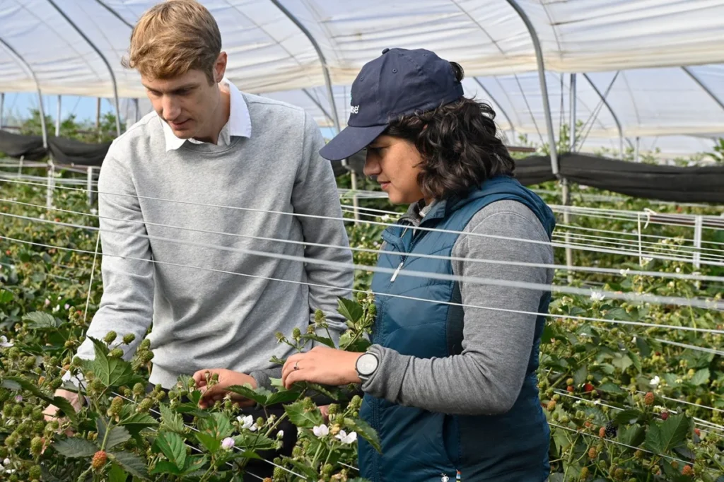 the-agrigenomics-revolution-how-precision-science-is-cultivating-a-new-agricultural-era