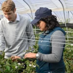 the-agrigenomics-revolution-how-precision-science-is-cultivating-a-new-agricultural-era