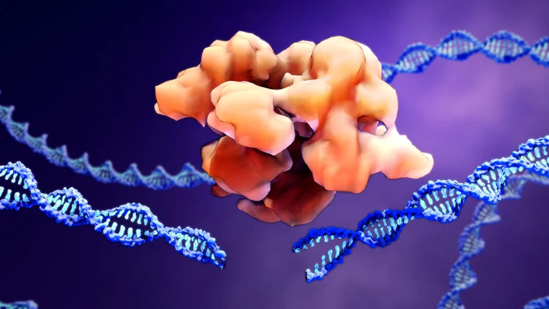 the-blueprint-for-a-new-era-scaling-individualized-crispr-therapies-post-baby-kj