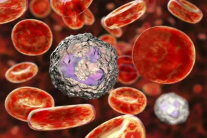 the-cellular-garbage-crisis-how-unchecked-immune-cells-drive-the-aging-process