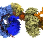 the-next-frontier-of-genomic-medicine-moving-beyond-the-crispr-cas9-revolution