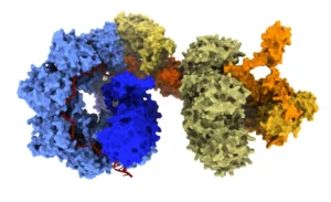 the-next-frontier-of-genomic-medicine-moving-beyond-the-crispr-cas9-revolution