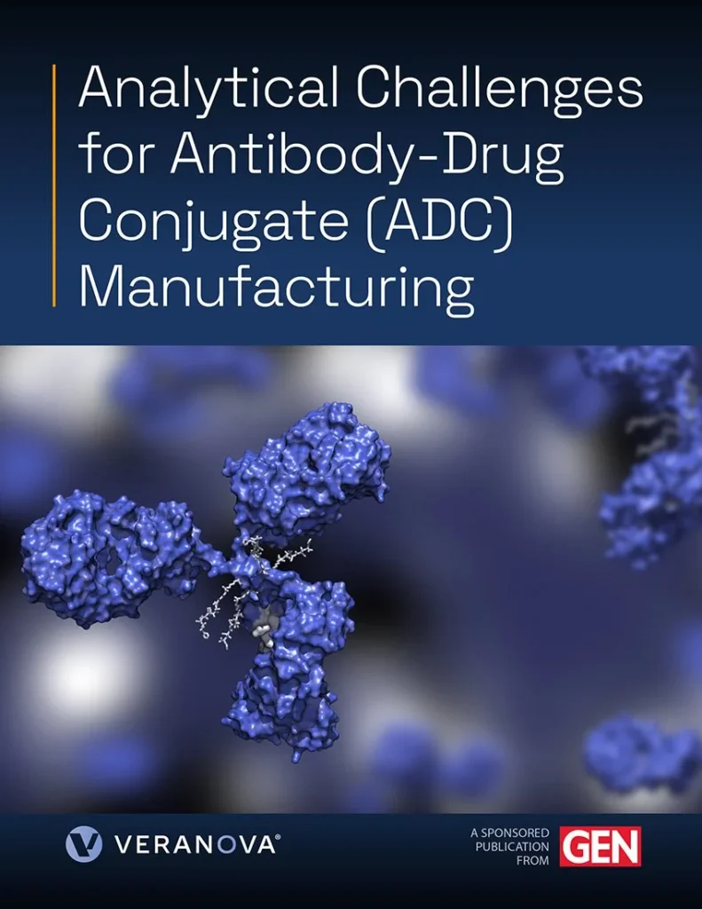 the-precision-frontier-navigating-the-complex-analytical-landscape-of-antibody-drug-conjugate-development