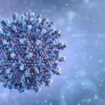 the-silent-spread-emerging-nairoviruses-pose-new-risks-to-public-health
