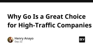 beyond-the-benchmark-why-high-traffic-engineering-teams-are-betting-big-on-go