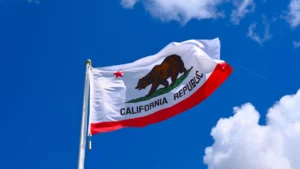 californias-digital-frontier-governor-newsom-signs-landmark-laws-to-regulate-ai-and-youth-social-media-access