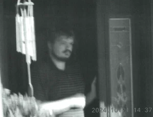 canadian-man-pleads-guilty-in-snowflake-extortions-krebs-on-security