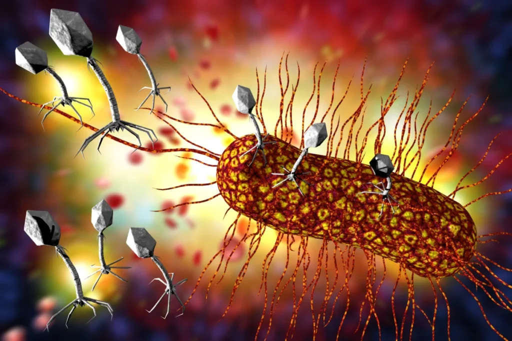 engineering-the-future-of-gut-health-the-rise-of-prophylactic-lyto-lysogen-therapy