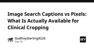 navigating-the-digital-canvas-the-crucial-boundary-between-caption-based-image-retrieval-and-pixel-level-search