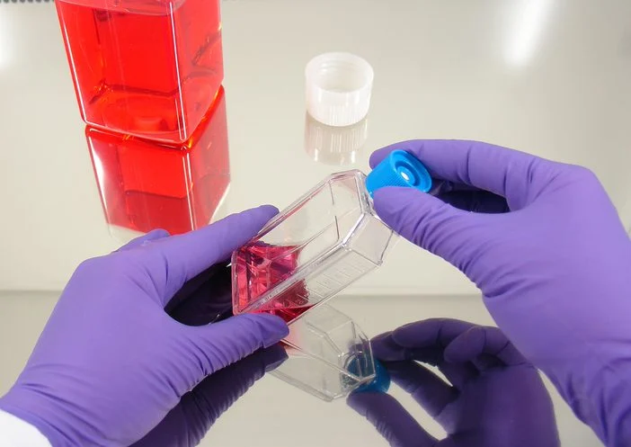 strategic-synergy-transcenta-therapeutics-and-wuxi-biologics-forge-new-path-in-bioprocessing-efficiency