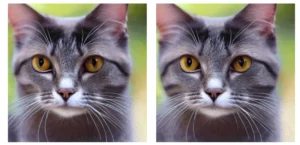 tensorflow-lite-supercharges-cpu-inference-xnnpack-unveils-dynamic-range-quantization-and-mixed-precision-breakthroughs