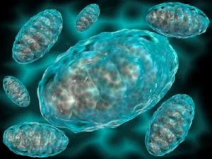 the-double-edged-sword-new-salk-institute-discovery-unveils-why-cancer-immunotherapy-fails