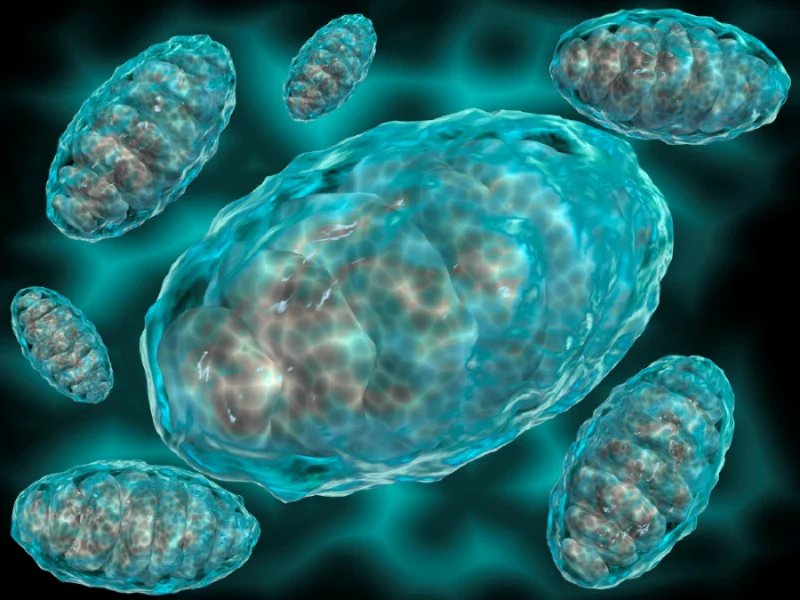 the-double-edged-sword-new-salk-institute-discovery-unveils-why-cancer-immunotherapy-fails