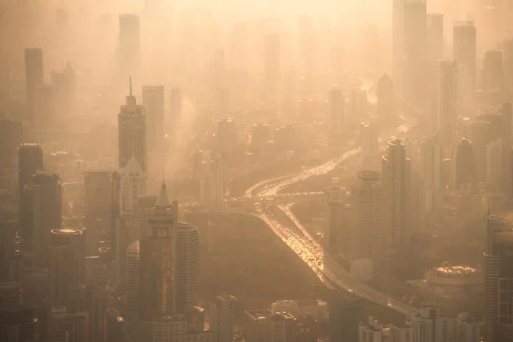 the-invisible-trigger-how-bacterial-subtypes-and-air-quality-drive-invasive-pneumococcal-disease