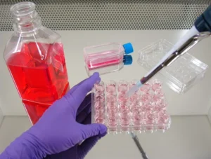 the-media-bottleneck-how-just-evotec-biologics-is-rethinking-biomanufacturing-logistics