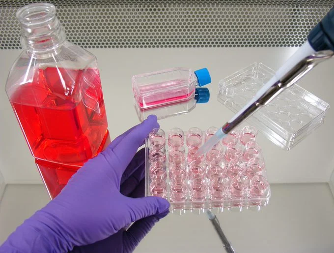 the-media-bottleneck-how-just-evotec-biologics-is-rethinking-biomanufacturing-logistics