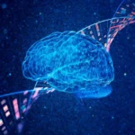 unlocking-the-genetic-mystery-ai-and-fruit-flies-identify-brsk1-as-a-driver-of-rare-neurodevelopmental-disorders