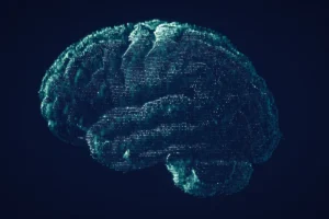 unlocking-the-vascular-code-new-research-reveals-how-apoe4-drives-alzheimers-and-neurodegeneration