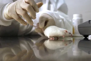 unmasking-the-aging-clock-how-pd-l2-allows-senescent-cells-to-evade-the-immune-system