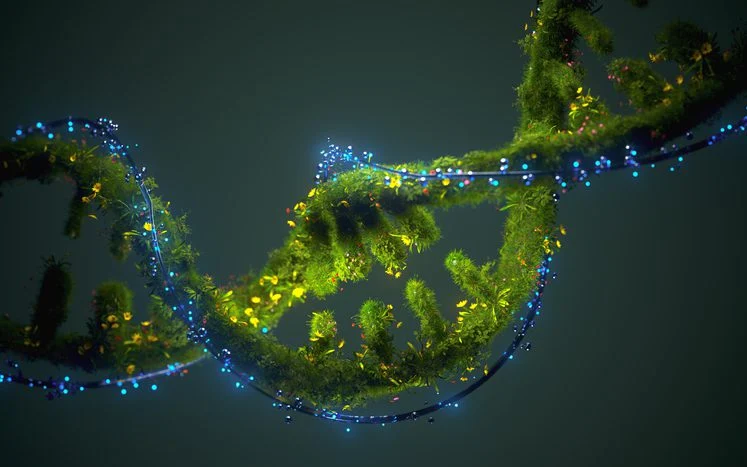 unmasking-the-molecular-saboteurs-new-imaging-reveals-how-dna-structure-dictates-vulnerability