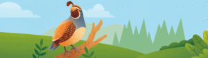 android-studio-quail-4-a-new-era-of-ai-driven-mobile-development