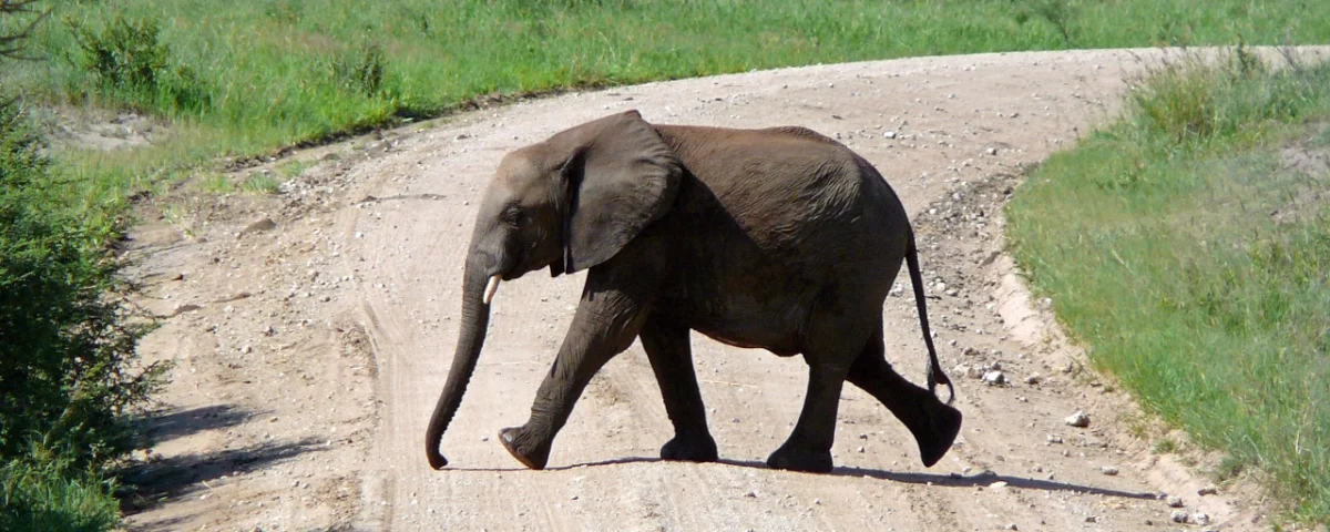 automating-postgresql-security-cloudnativepg-1-31-introduces-native-password-generation-and-automated-rotation