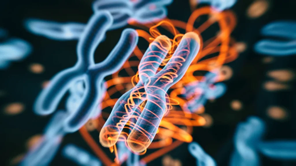illumina-unveils-bioinsight-a-new-frontier-in-multiomics-and-ai-driven-genomic-discovery