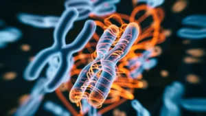 illumina-unveils-bioinsight-a-new-frontier-in-multiomics-and-ai-driven-genomic-discovery