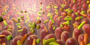 protecting-the-most-vulnerable-how-early-life-microbiota-unlock-a-critical-immune-shield