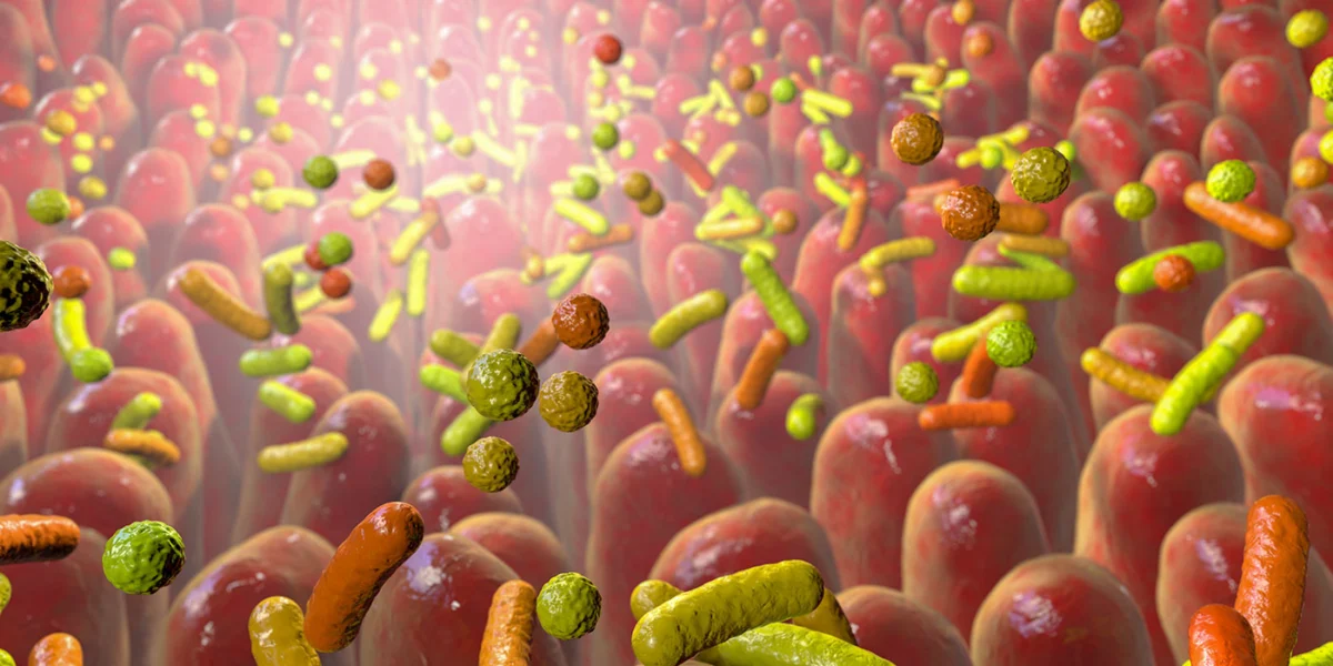 protecting-the-most-vulnerable-how-early-life-microbiota-unlock-a-critical-immune-shield